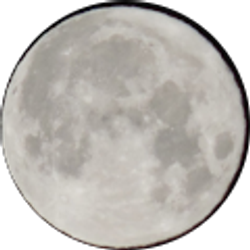 Profile photo of xiwei yang