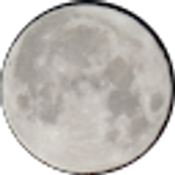 Profile photo of xiwei yang