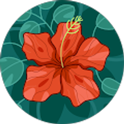Profile photo of Amanda Shelley