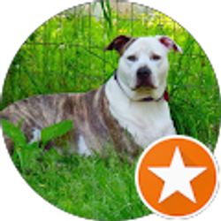 Profile photo of Kittie Johnson