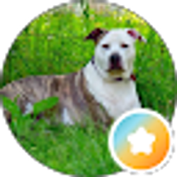 Profile photo of Kittie Johnson