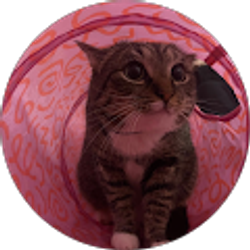 Profile photo of Lauren M