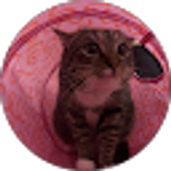 Profile photo of Lauren M