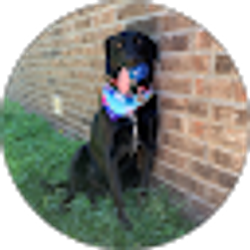 Profile photo of Melissa G