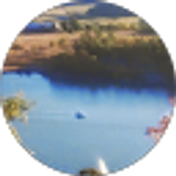 Profile photo of Blanca Velez