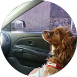 Profile photo of Dayana Araque