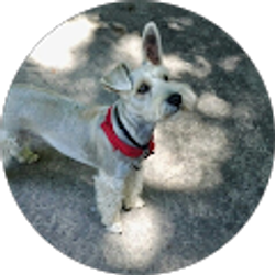 Profile photo of machelle sherwood