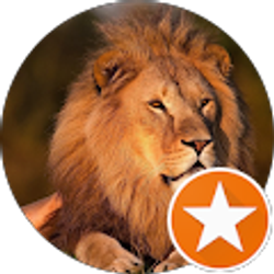 Profile photo of Carolina Hernandez