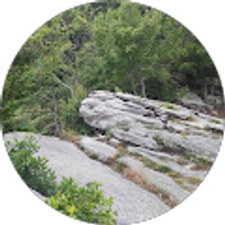 Profile photo of Nicholas Womack