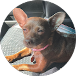 Profile photo of Margarita Costas