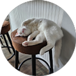 Profile photo of Emil Lechleitner