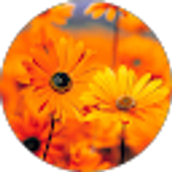 Profile photo of April June