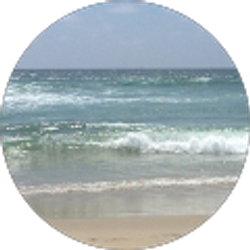 Profile photo of Angela Nicole Wilson