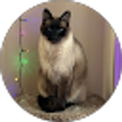 Profile photo of Delilah Nieves