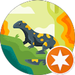 Profile photo of Michael Peters