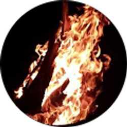 Profile photo of Iggy