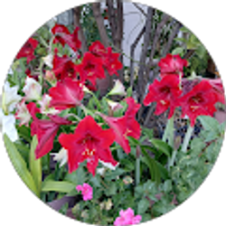 Profile photo of Leticia Garcia