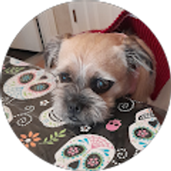 Profile photo of yuliana reyes