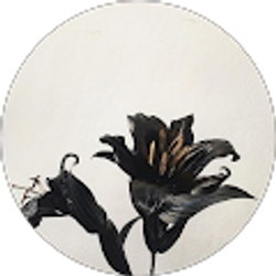 Profile photo of Isabella