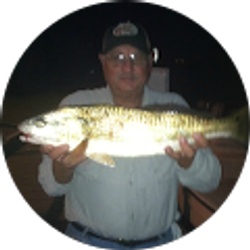 Profile photo of Michael Coleman