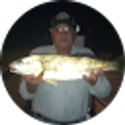 Profile photo of Michael Coleman