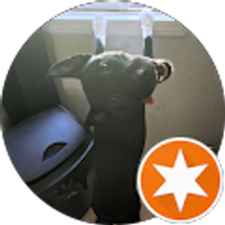 Profile photo of Linda McGee