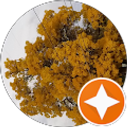 Profile photo of Jen Wagner