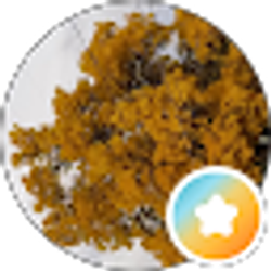Profile photo of Jen Wagner