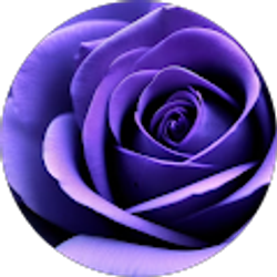 Profile photo of Lisa Nata-Harty