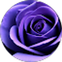 Profile photo of Lisa Natarelli