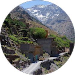 Profile photo of Danny Brayer