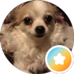 Profile photo of Erin