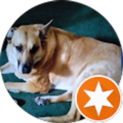 Profile photo of Jim Radcliffe