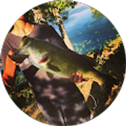 Profile photo of Alexander Medina