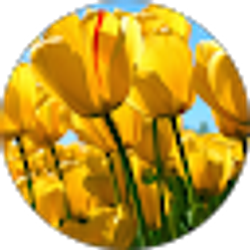 Profile photo of Amber Copeland