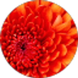 Profile photo of Surendra Ramanapudi