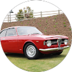 Profile photo of M R