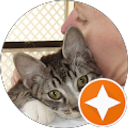 Profile photo of Ellen Quinlan