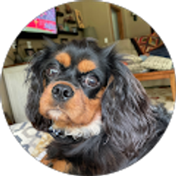 Profile photo of Frances