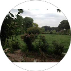 Profile photo of Fahim Hedayat