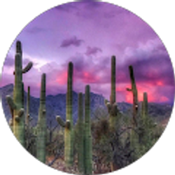 Profile photo of Russell Curren