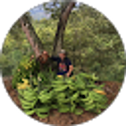 Profile photo of Alex Seijo
