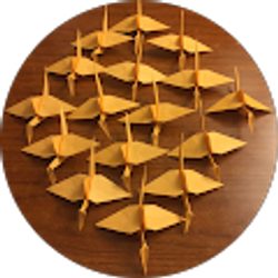 Profile photo of erin peterson