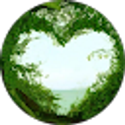 Profile photo of Brenda Schmelzel