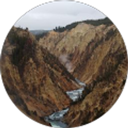 Profile photo of Liz P