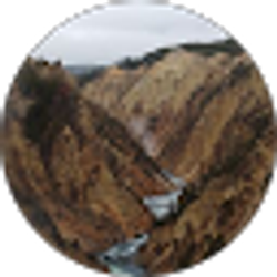 Profile photo of Liz P