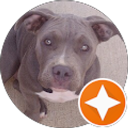 Profile photo of Darin Schimke