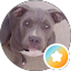 Profile photo of Darin Schimke