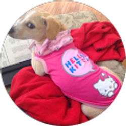 Profile photo of Amber Lombardi