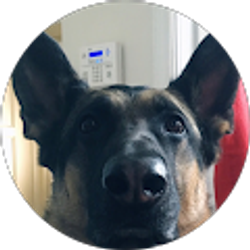 Profile photo of kristen rubensaal